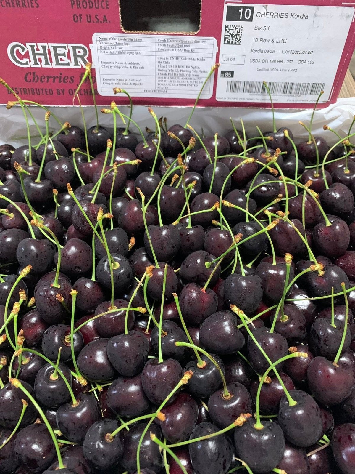 Cherry Mỹ đổ bộ thị trường Việt, giá rẻ kỷ lục