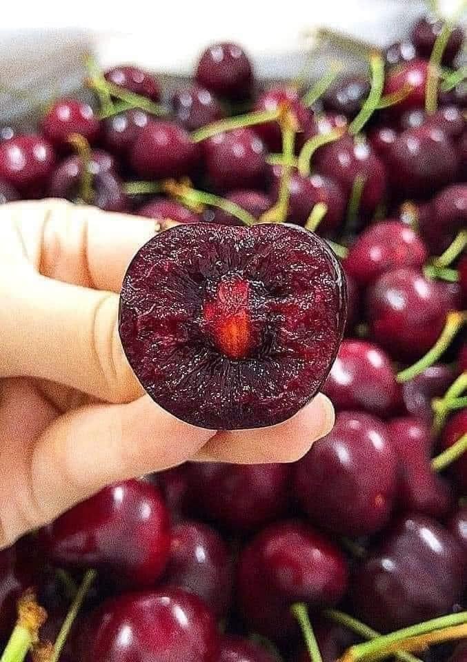 Cherry Mỹ đổ bộ thị trường Việt, giá rẻ kỷ lục