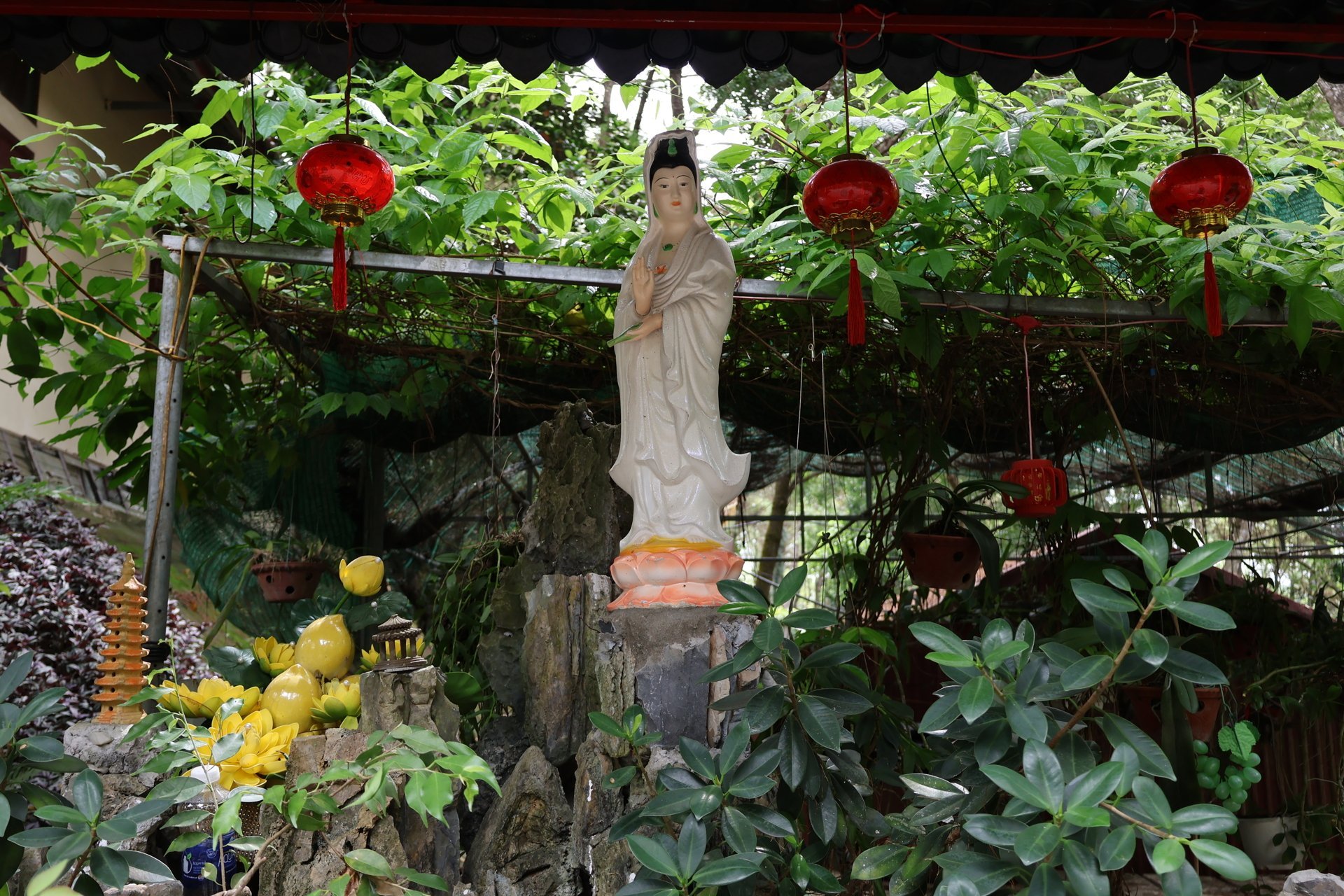 Buông bỏ để bình yên
