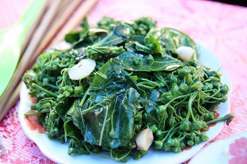 3 loại rau chứa chất độc nhiều người Việt thường nhầm lẫn khi ăn