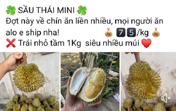 Thu chục triệu mỗi ngày nhờ bán sầu Thái mini