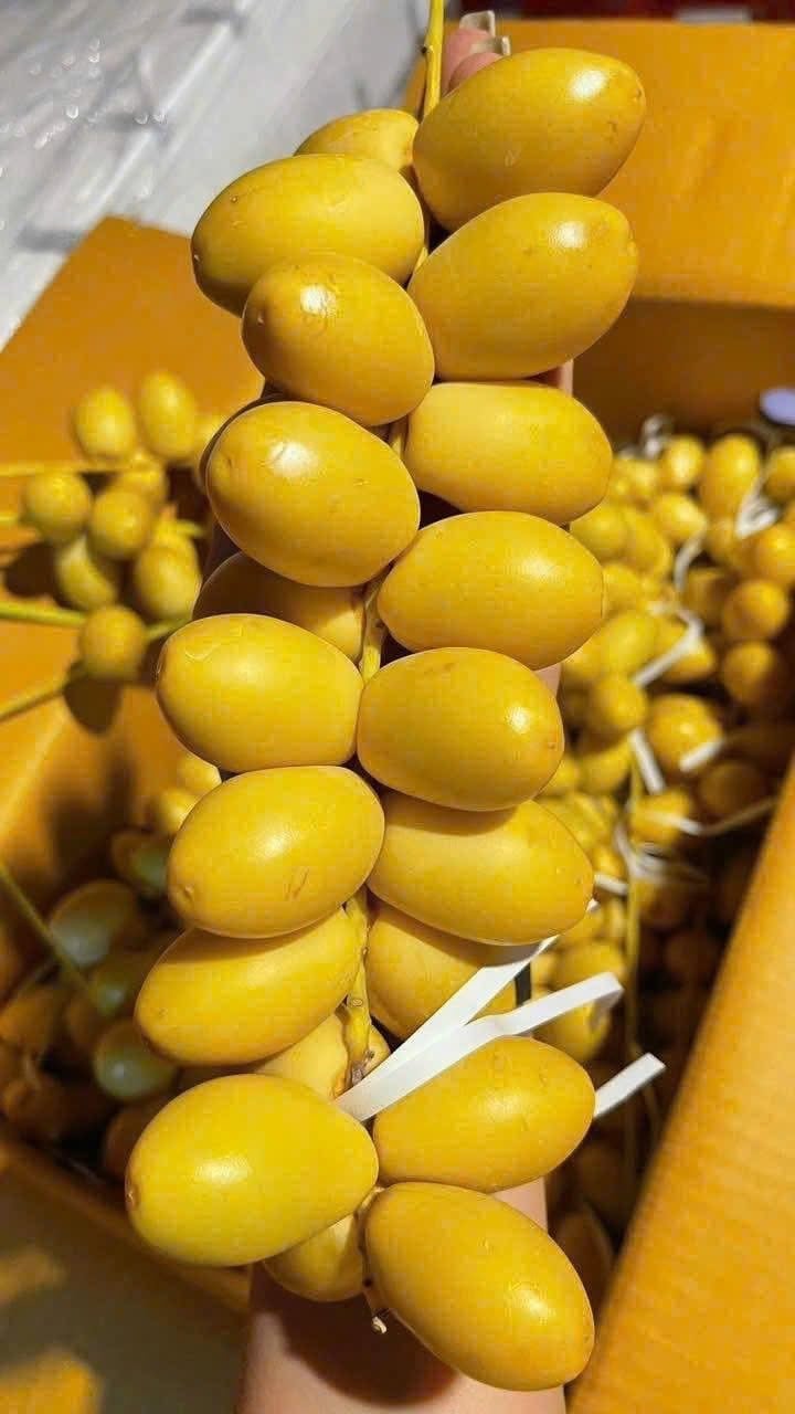 Nguồn gốc chà là tươi vài chục nghìn đồng/kg bán đầy chợ mạng
