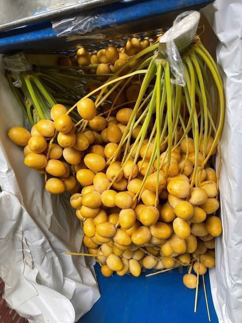Nguồn gốc chà là tươi vài chục nghìn đồng/kg bán đầy chợ mạng