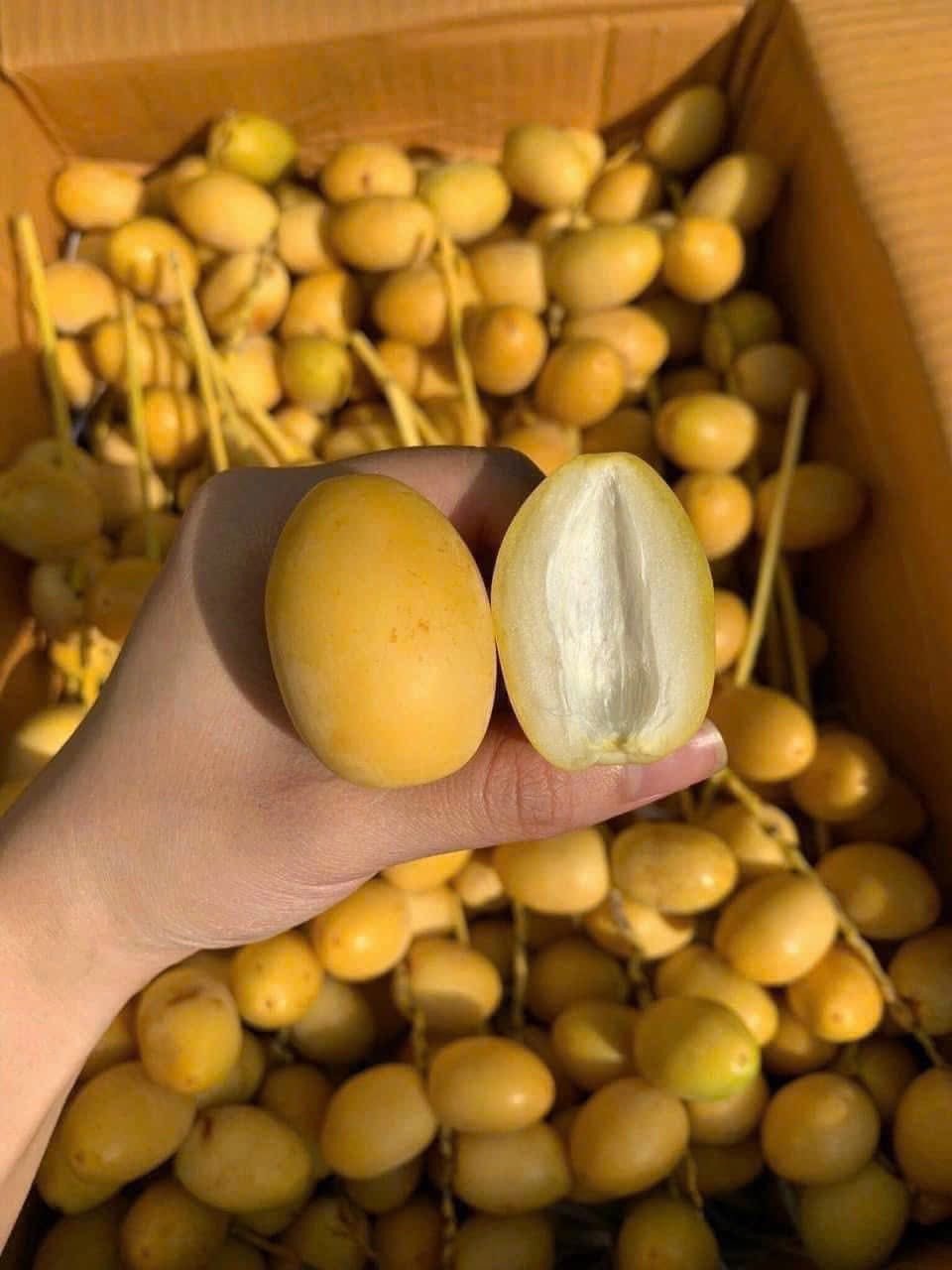 Nguồn gốc chà là tươi vài chục nghìn đồng/kg bán đầy chợ mạng