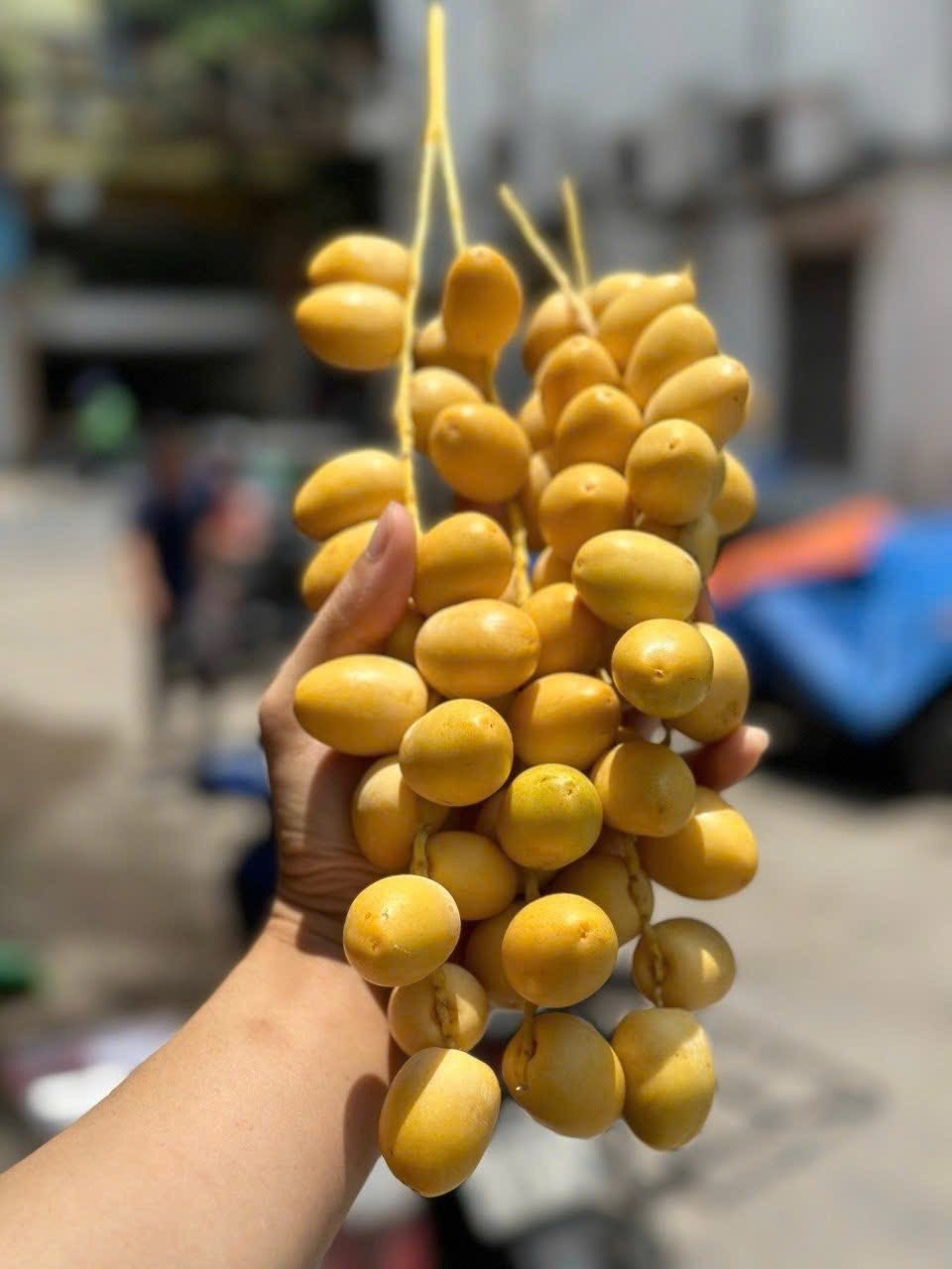 Nguồn gốc chà là tươi vài chục nghìn đồng/kg bán đầy chợ mạng