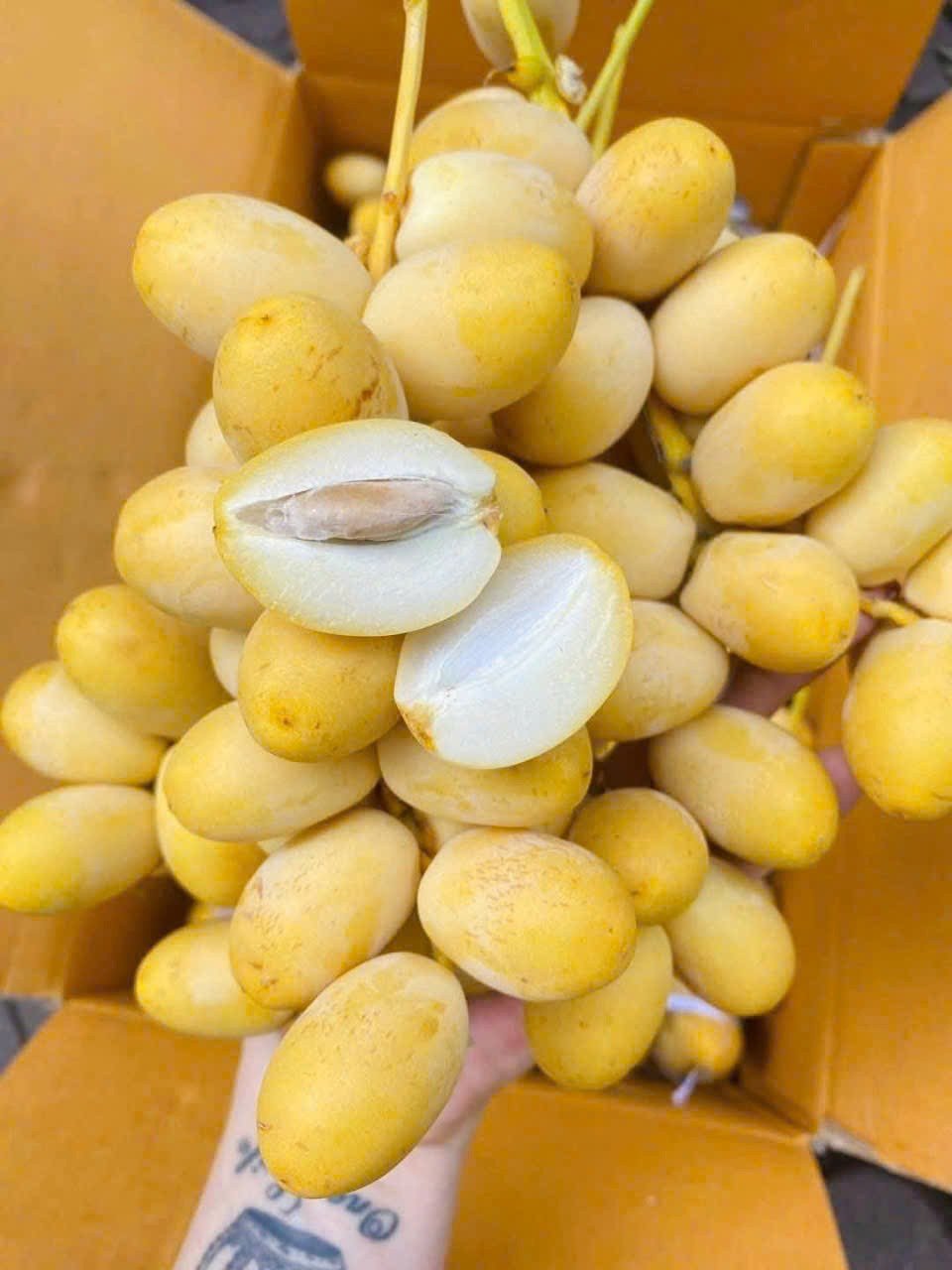 Nguồn gốc chà là tươi vài chục nghìn đồng/kg bán đầy chợ mạng
