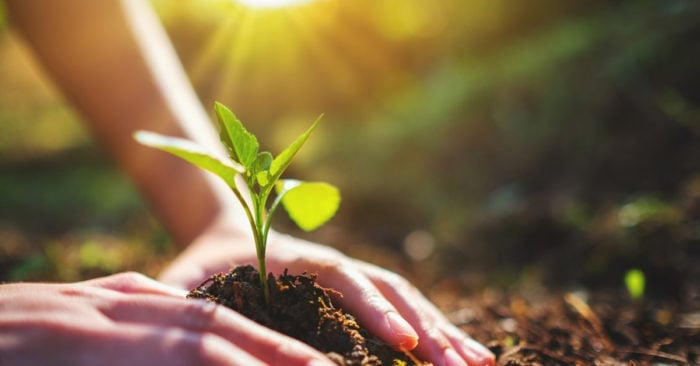 Gieo mầm lương thiện sẽ hoài an nhiên