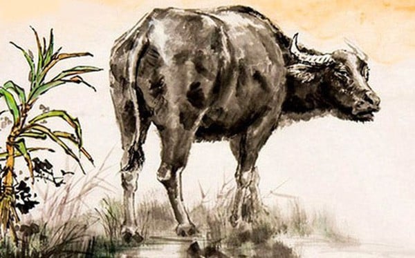 Dự đoán ngày mới 7/12/2025 cho 12 con giáp: Dậu thăng hoa