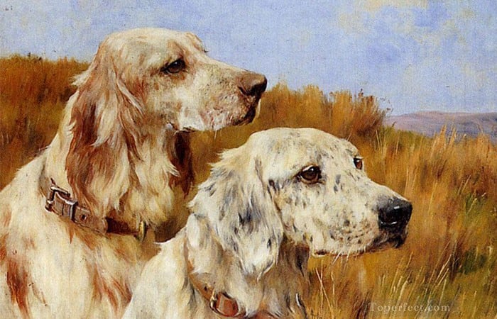 Dự đoán ngày mới 23/12/2025 cho 12 con giáp: Sửu thăng hoa