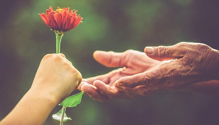 Tâm lương thiện tỏa sáng, thơm người mà cũng ấm mình