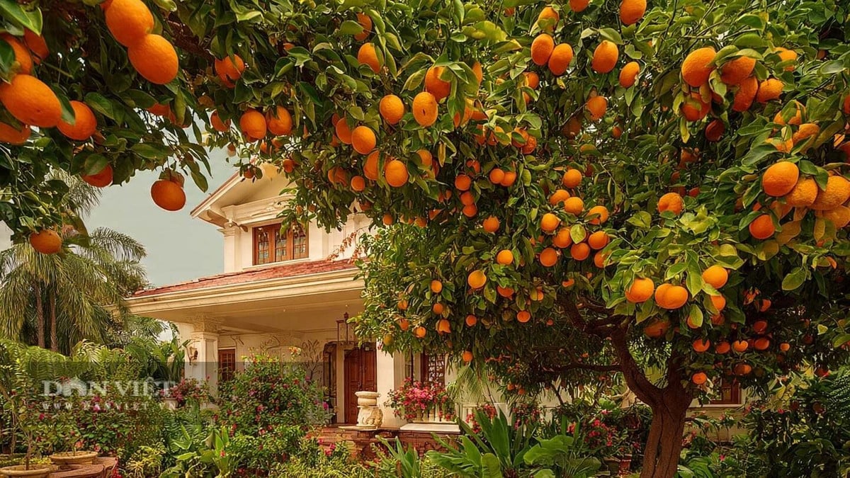 Có 4 cây cảnh này trước nhà, gia chủ tài lộc bất tận