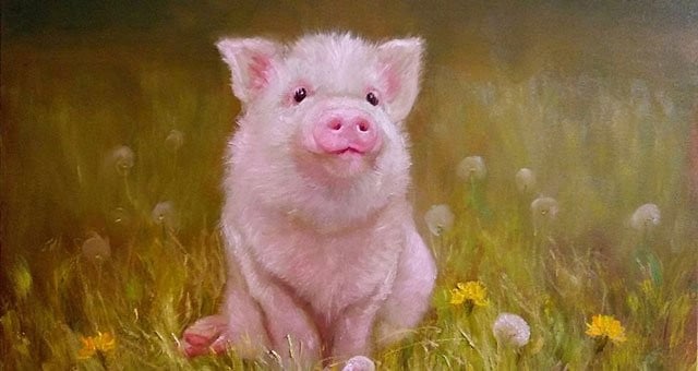 Dự đoán ngày mới 29/1/2026 cho 12 con giáp: Sửu chuyên tâm